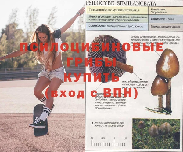кокаин премиум Балабаново