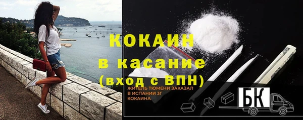 мяу мяу мука Баксан